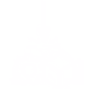 DMLS Icon